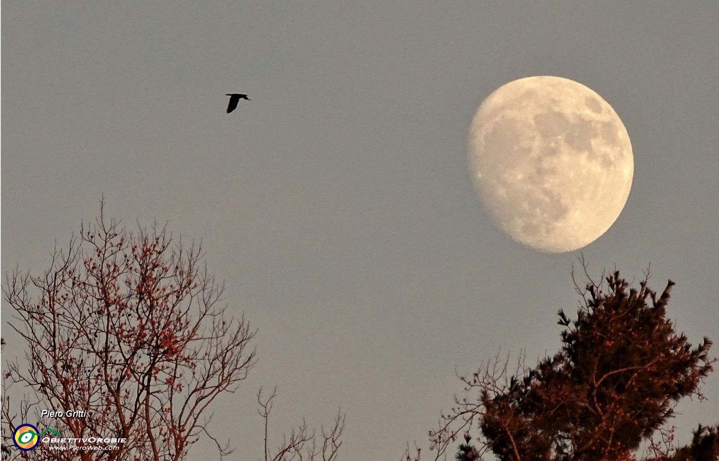 88 Spunta la luna piena sul Parco dei Colli.JPG -                                